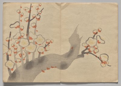 Scena dal Libro Illustrato di Kōrin (Volume 2) da Nakamura Hochu