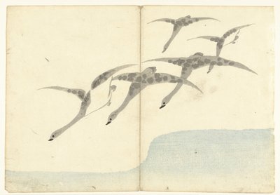 Cinque oche in volo da Nakamura Hochu