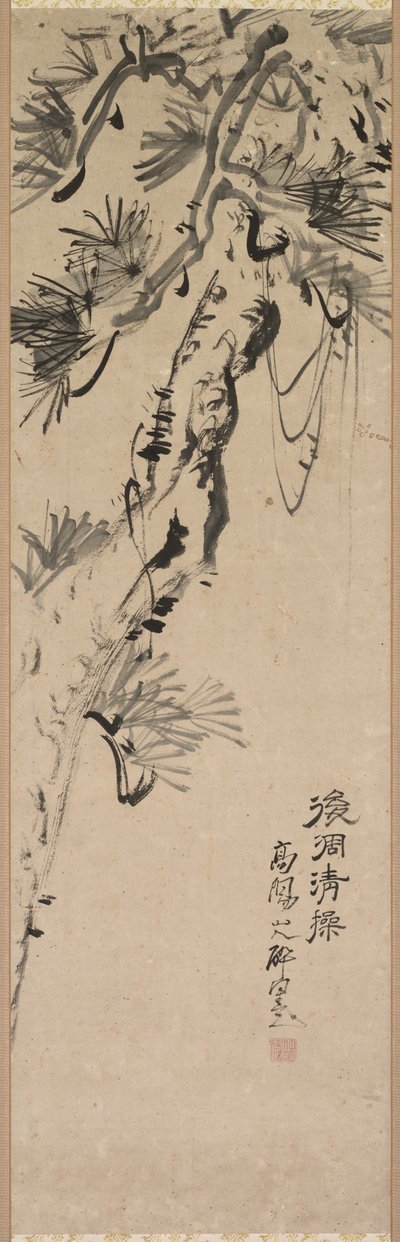 Pino invecchiato da Nakayama Koyo