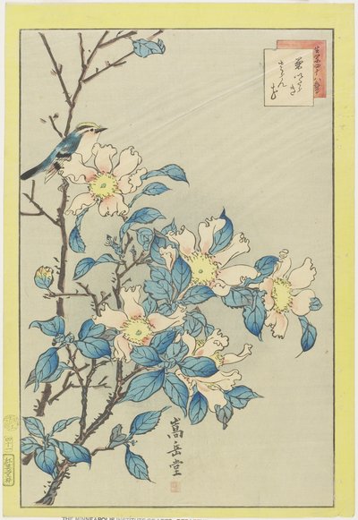 Uccello azzurro e fiori rosa da Nakayama Sugakudo