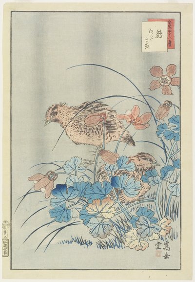 Due quaglie nel cespuglio da Nakayama Sugakudo
