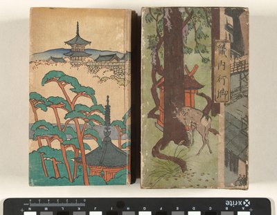 Viaggio a piedi nella regione di Kinai da Nakazawa Hiromitsu