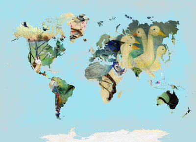 Un mondo di uccelli, 2016 da Nancy Moniz Charalambous
