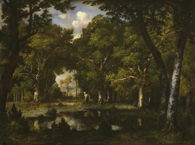 Stagno nel bosco da Narcisse Virgile Diaz de la Peña