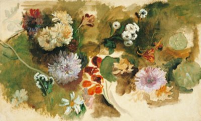 Studi di vari fiori da Narcisse Virgile Diaz de la Peña