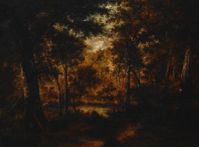 La piscina delle fate da Narcisse Virgilio Díaz