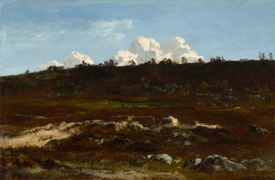 Brughiera. Terreno in discesa presso Apremont con solco di sabbia da Narcisse Virgilio Diaz de la Peña
