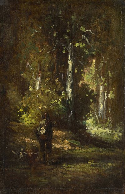Vista dell