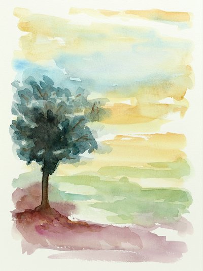 Tramonto a Lone Tree da Natalie Bruns