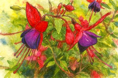 Fioriture fucsia dai colori vivaci da Natalie Bruns