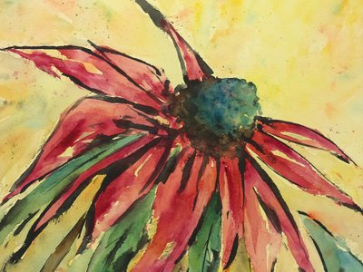 Echinacea rosso vivo da Natalie Bruns