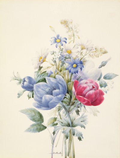 Una Rosa, Anemone, Mignonette e Margherite da Nathalie d