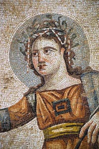 Mosaico romano nella villa Casa di Aion da Nathan Benn