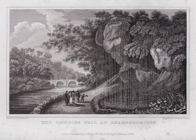 Il Pozzo Gocciolante a Knaresborough (incisione) da Nathaniel (after) Whittock