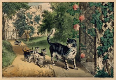 Il ritorno del gattino, 1874-78 da Currier and Ives