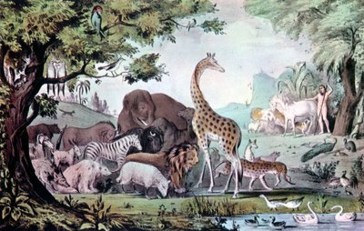 Adamo nomina le creature, 1847 da Nathaniel Currier