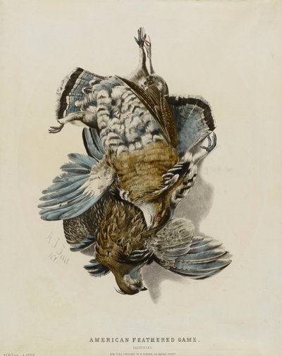 Selvaggina americana da penna - Cartucce da Nathaniel Currier