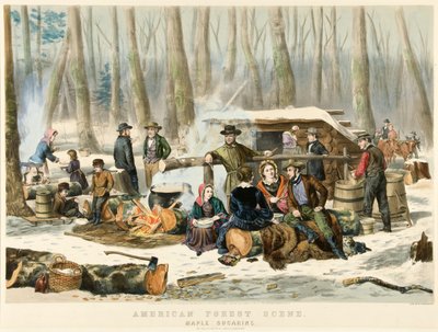 Scena forestale americana - Raccolta dello sciroppo d
