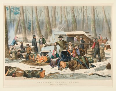 Scena forestale americana, raccolta dello sciroppo d