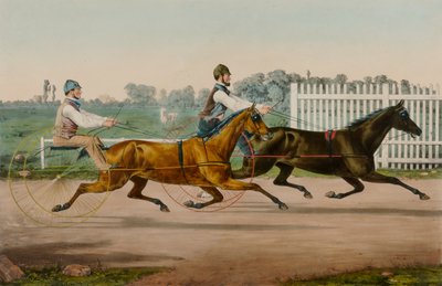 Flora Temple e Highland Maid da Nathaniel Currier