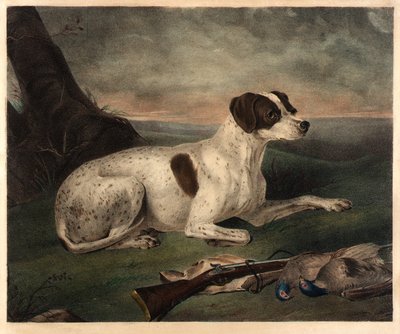 Giunone da Nathaniel Currier