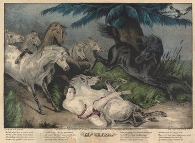 Mazeppa, tavola 3 (circondato da cavalli selvaggi) da Nathaniel Currier