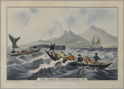 La Pesca della Balena 