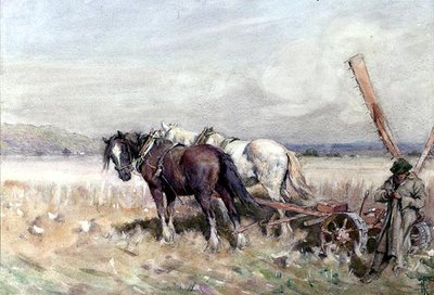 Raccolta da Nathaniel Hughes John Baird