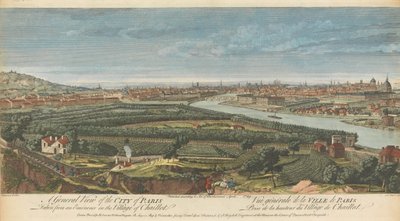 Veduta generale della città di Parigi presa da un