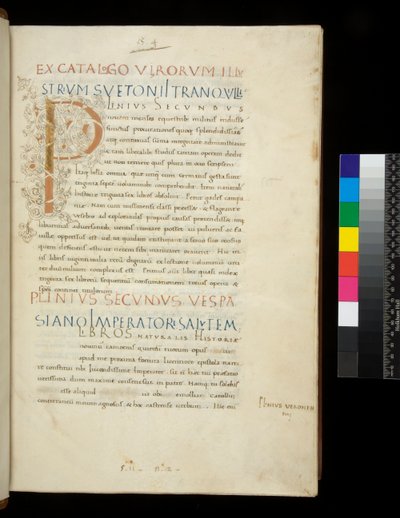 Ms 394.1. Plinio il Vecchio, Historia naturalis, f.1r. Iniziale illuminata [P] con decorazione a tralcio bianco (non finita), Napoli, metà del XV secolo, c.1442 (pergamena) da Neapolitan School