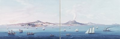 La baia di Napoli da Neapolitan School