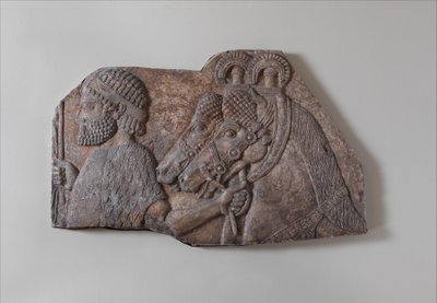 Groom straniero in una processione tributaria, c.721-05 a.C. da Neo Assyrian Neo Assyrian