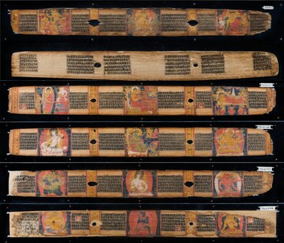 Foglie di manoscritto (inchiostro e colori su foglie di palma) da Nepalese School