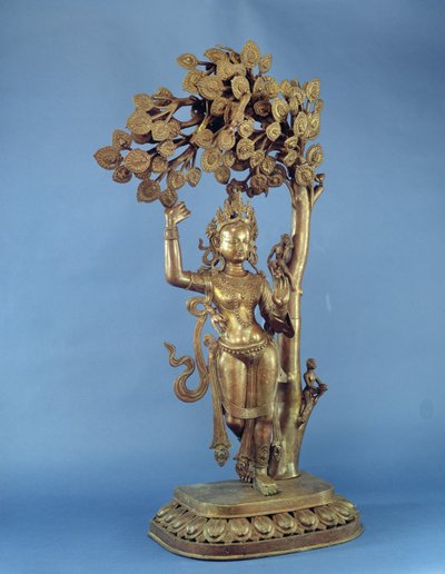 La nascita di Buddha da Nepalese School