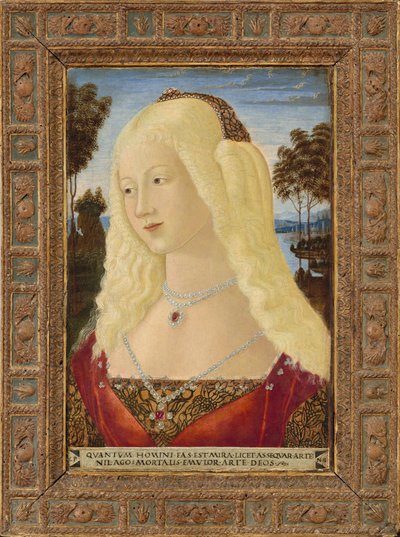 Ritratto di una signora, c. 1485 da Neroccio de Landi