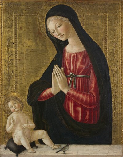Vergine e Bambino con un Cardellino da Neroccio de