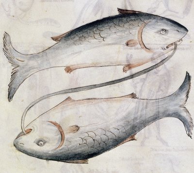 Sloane 3983 Disegno di Pesci, da una traduzione di un trattato astrologico persiano di Jafar ibn Muhammad da Netherlandish School