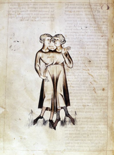 Sloane 3983 f.8v Disegno dei Gemelli, da una traduzione di un trattato astrologico persiano di Jafar ibn Muhammad da Netherlandish School