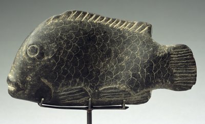 Pesce, 1540-1069 a.C. da New Kingdom Egyptian