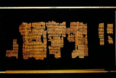 Frammenti del documento contenente le gesta del faraone Thutmose III da New Kingdom Egyptian