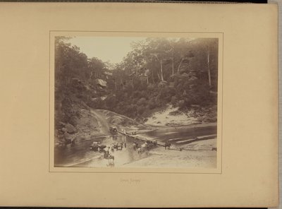 Nepean superiore da New South Wales Government Printing Office