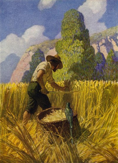 Illustrazione per Robinson Crusoe da Newell Convers (after) Wyeth