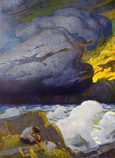 Illustrazione per Robinson Crusoe da Newell Convers (after) Wyeth