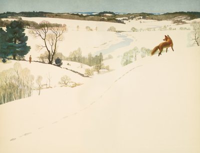 Volpe nella Neve, risguardo in 