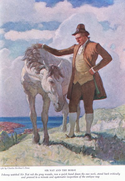 Sir Nat e il cavallo: Johnny osservava Sir Nat strofinare il muso grigio; fare un passo indietro e procedere a un