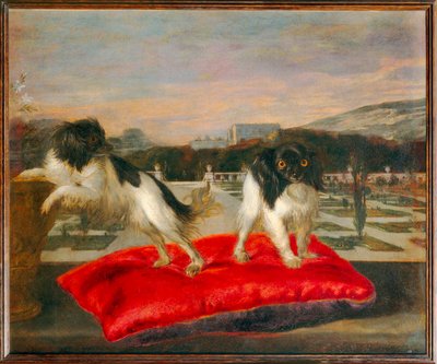 Due cani di piccola taglia sulla terrazza di un giardino italiano - Due cani di piccola taglia sulla terrazza di un giardino italiano ... da Nicasius (1620 78) Bernaerts