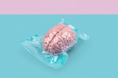 Cervello, 2020 da Niccolò Fioriti