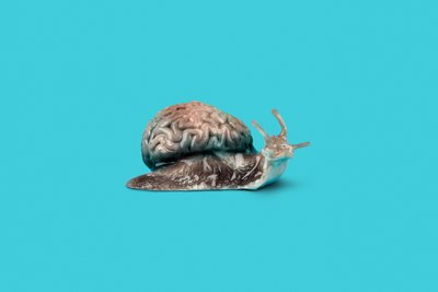 Lentamente, 2020 da Niccolò Fioriti