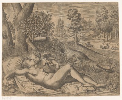 Venere e Amore da Niccolò Nelli