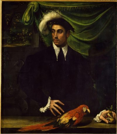 Ritratto di un giovane uomo con pappagallo da Niccolò dell Abbate